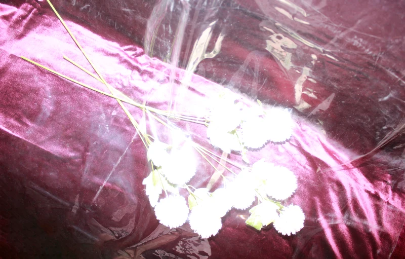 Roses and plastic studied against purple fabric