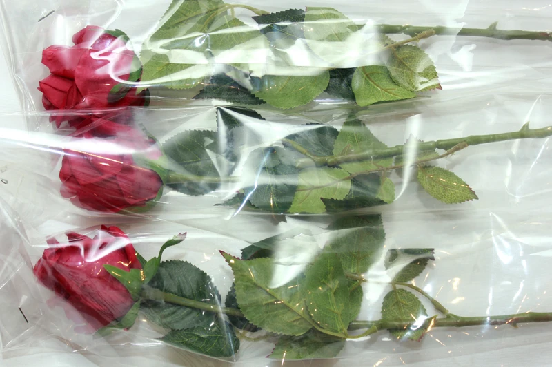Red roses enclosed in clear plastic